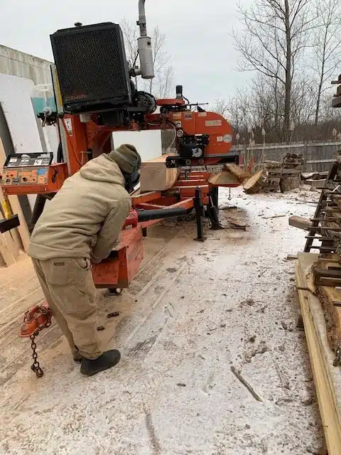 Milling trees.
