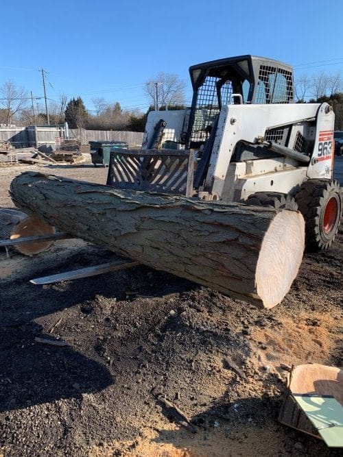 forklift carrying a tree trunk.